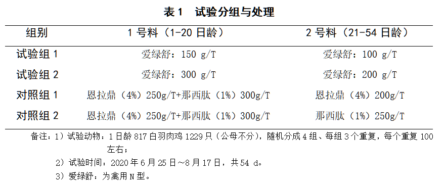 九游会J9