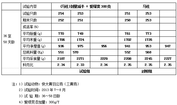 九游会J9