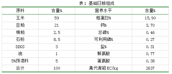 九游会J9
