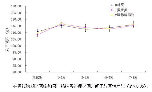 九游会J9