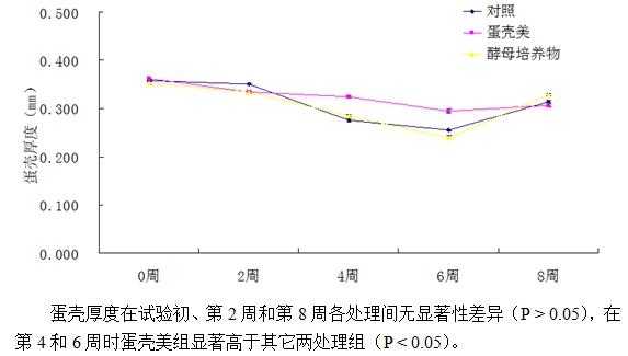 九游会J9