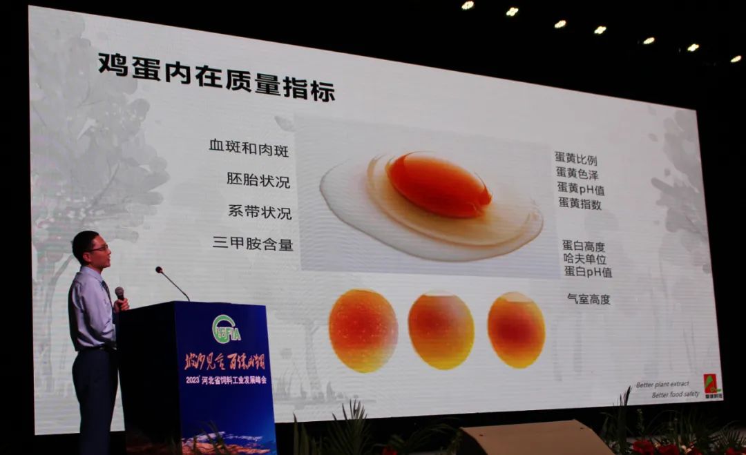 九游会J9