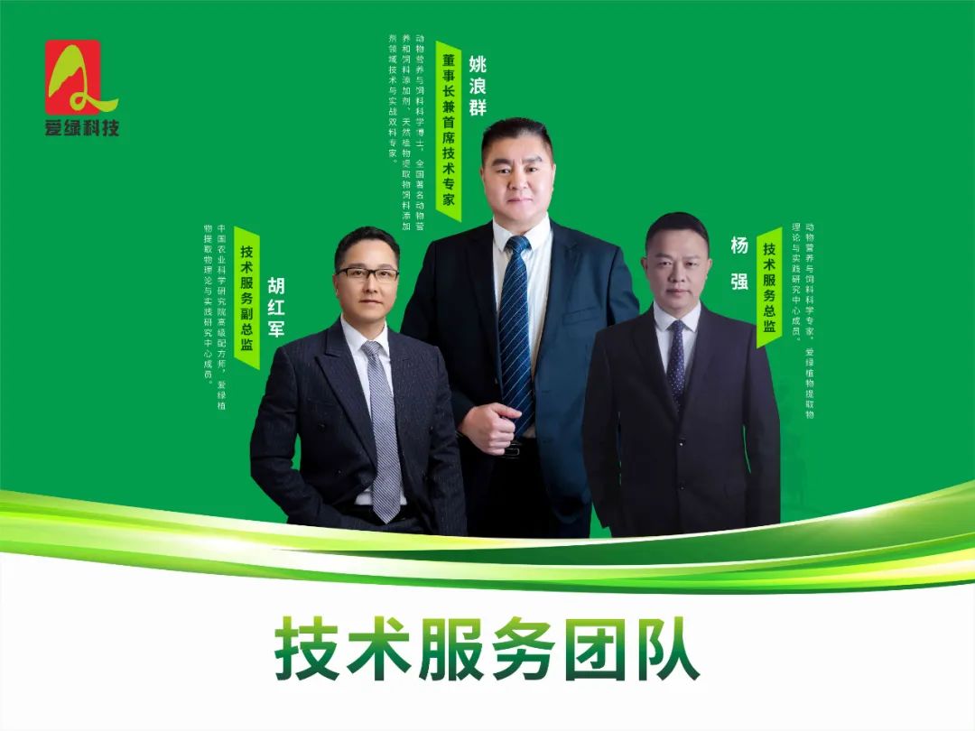 九游会J9