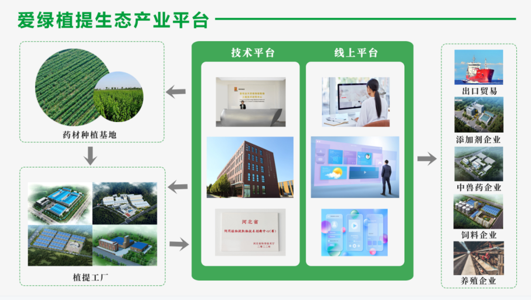 九游会·J9(中国游)集团官网-真人游戏第一品牌
