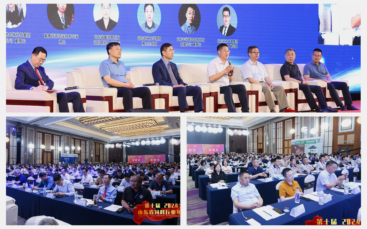 九游会·J9(中国游)集团官网-真人游戏第一品牌